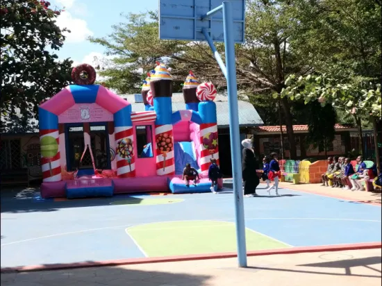 Inflatable Bouncy Combo Slide Jumping Castle Blower for Sale